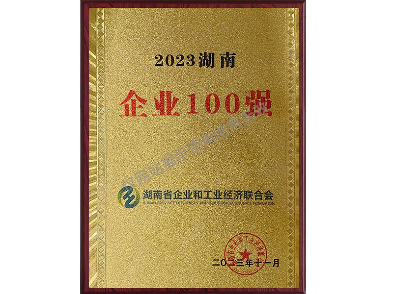 2023湖南企業(yè)100強